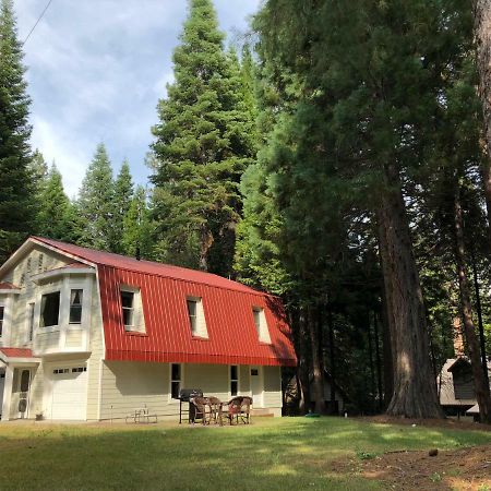 Carriage House At Yosemite Villa Fish Camp Exteriör bild